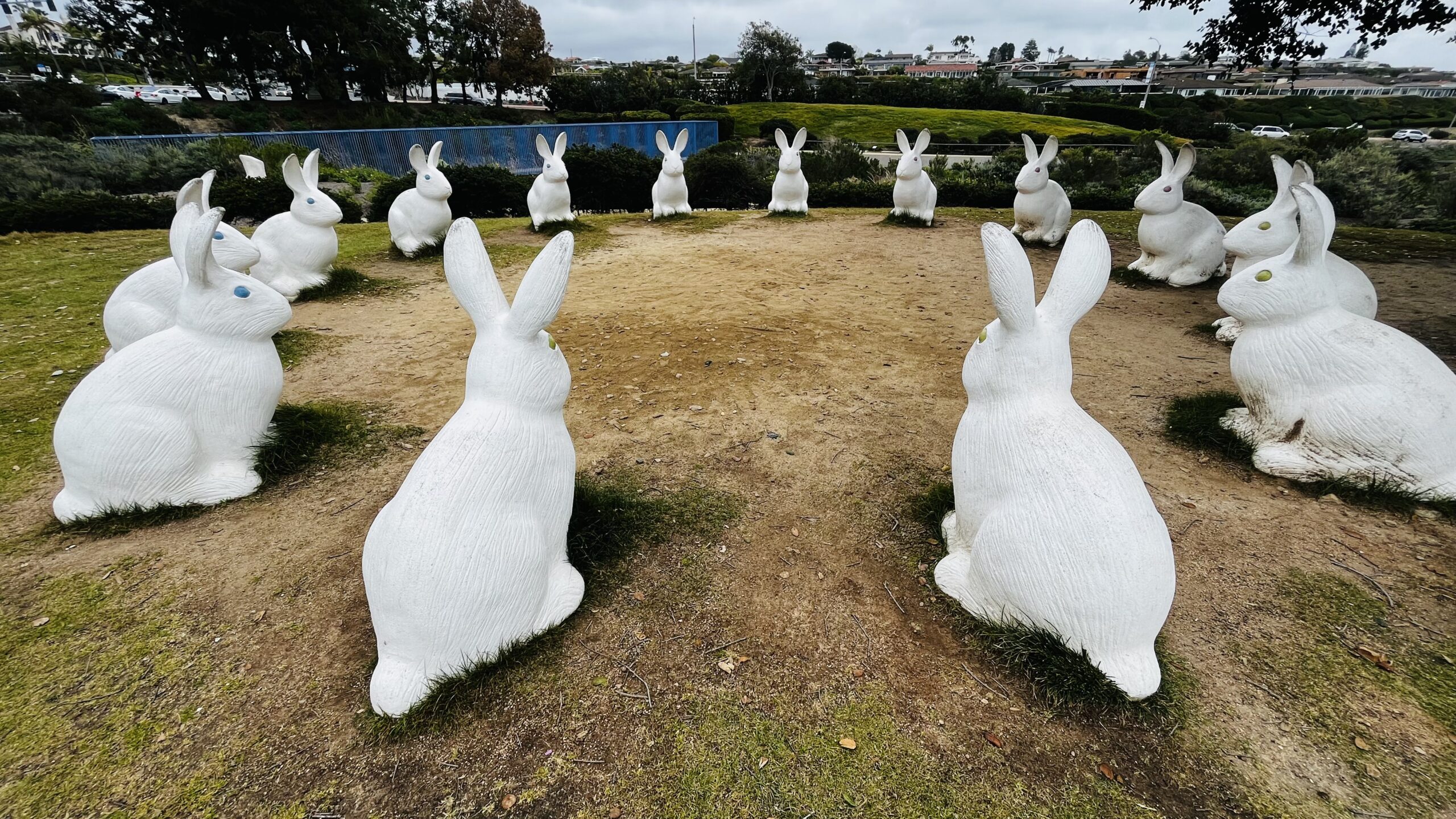 Hopping into Wonder: The Tale of Newport Beach’s Bunny Henge