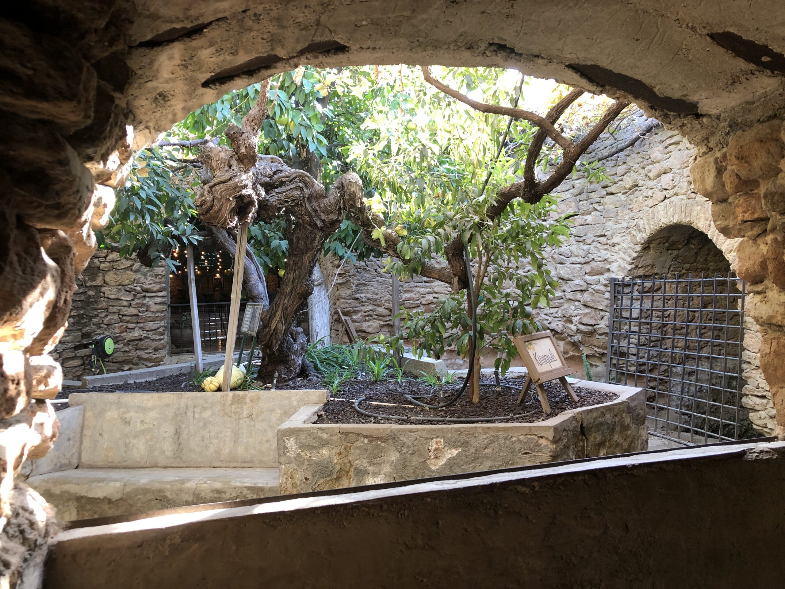 Timeless Grandeur: A Stroll Through the Illustrious Halls of the Graystone Mansion