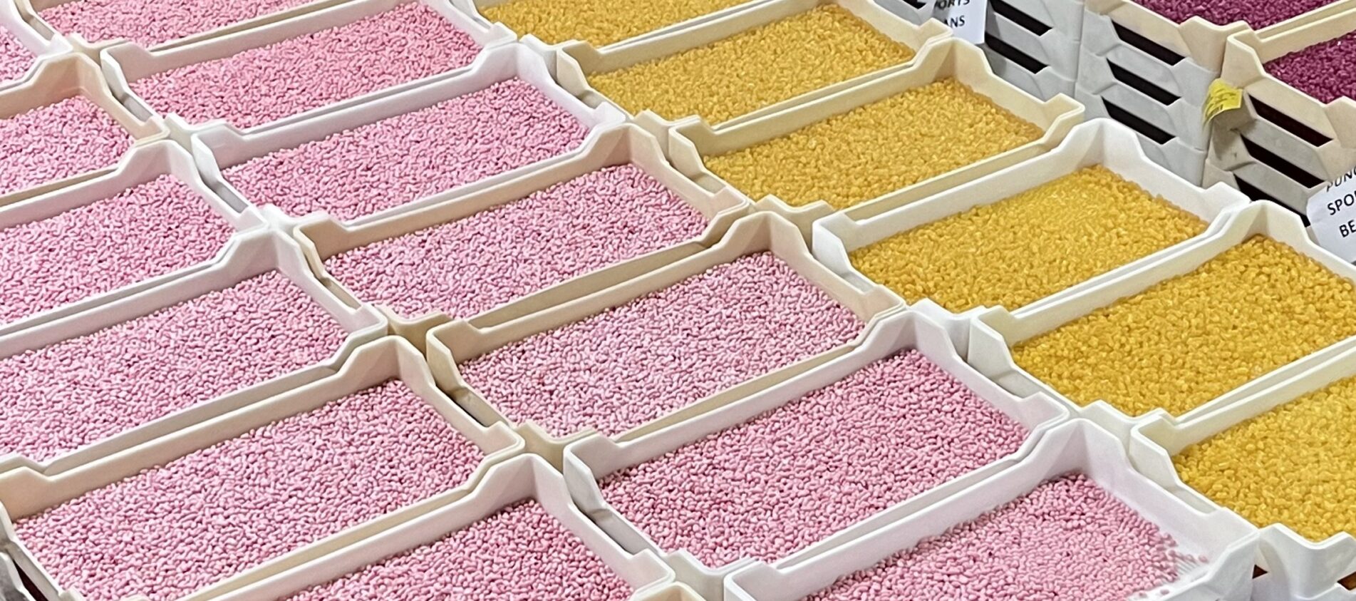Food Factories I’ve Visited: A Delicious Behind-the-Scenes Journey Across the U.S.
